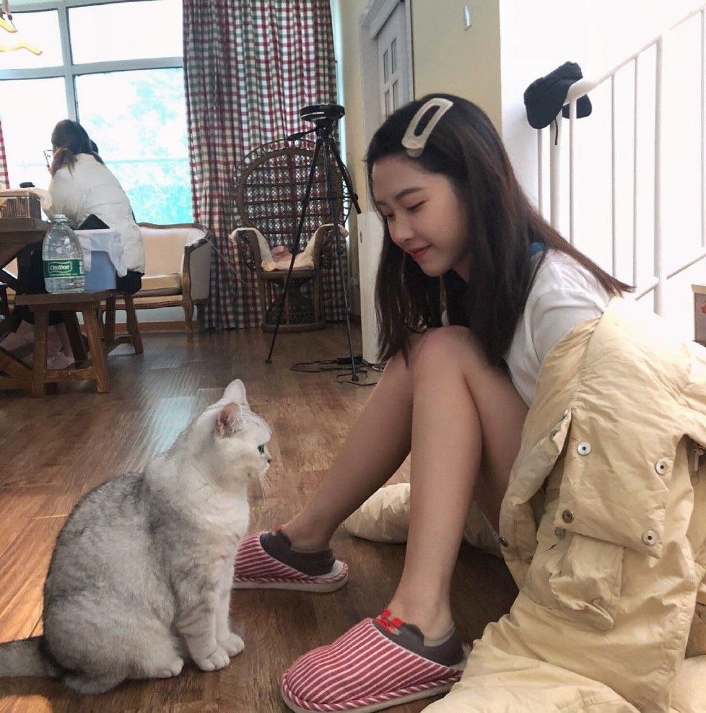 有没有半藏森林好看的照片? - 知乎