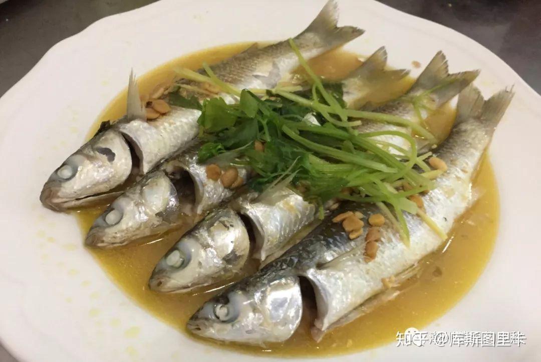 年夜尖头冬节乌 - 知乎