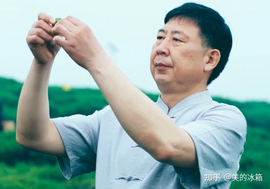 美的冷柜春茶品鲜官徐黄涛带您一起非遗探鲜