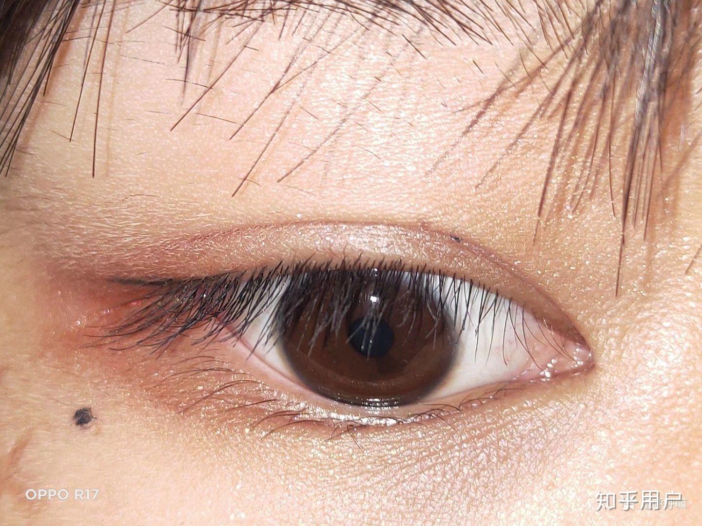 这眼睛属于什么眼型?