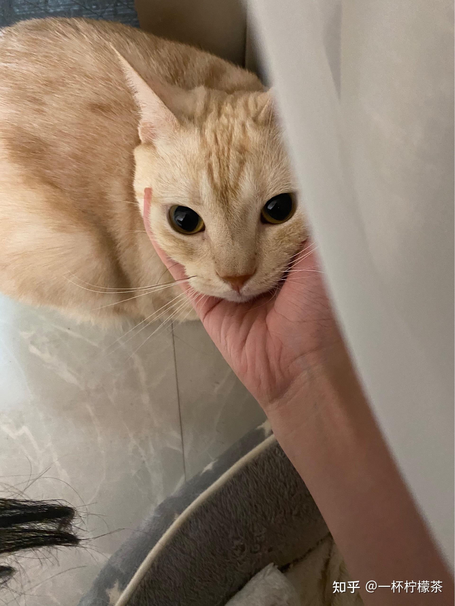 如果你手机里的第15张照片是上辈子杀死你的东西那么你的死因是什么