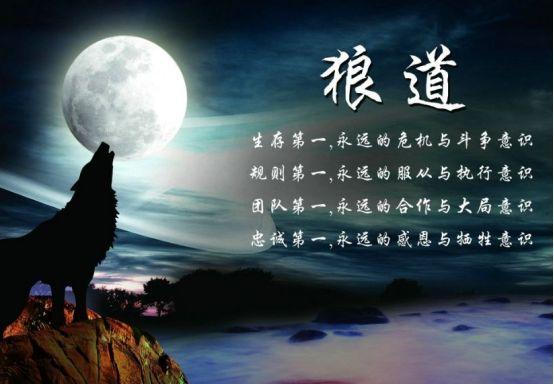 生存战略之像狼一样做社会生活中的强者—读后感《狼道》白冰 - 知乎