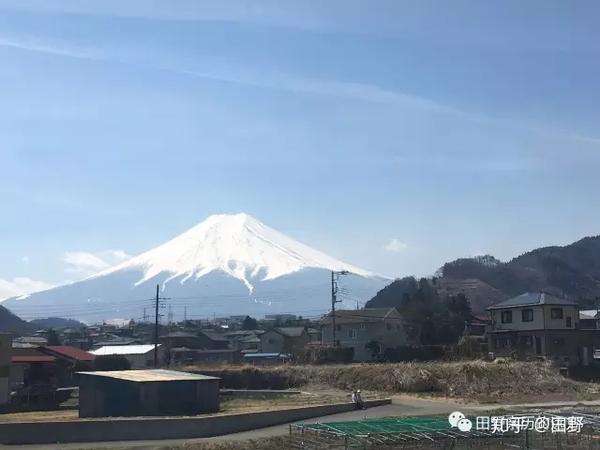 醉在东瀛6 富士山下 伊豆海前 极目飨宴 享不尽的富贵荣华 知乎