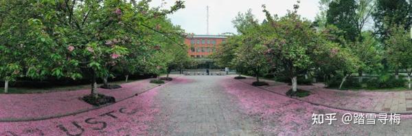 中科大2023届保研率48％ - 知乎