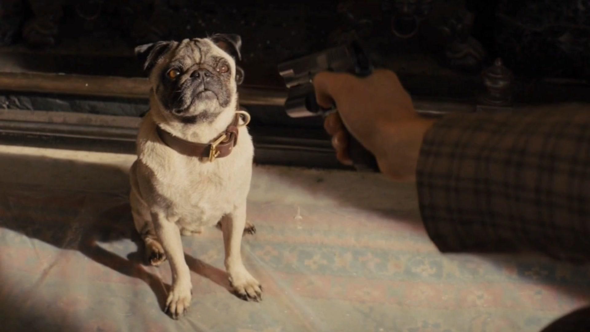 小伙贪吃羊肉不知悔改遭了报应长出羊角为了自救竟生吃小狗