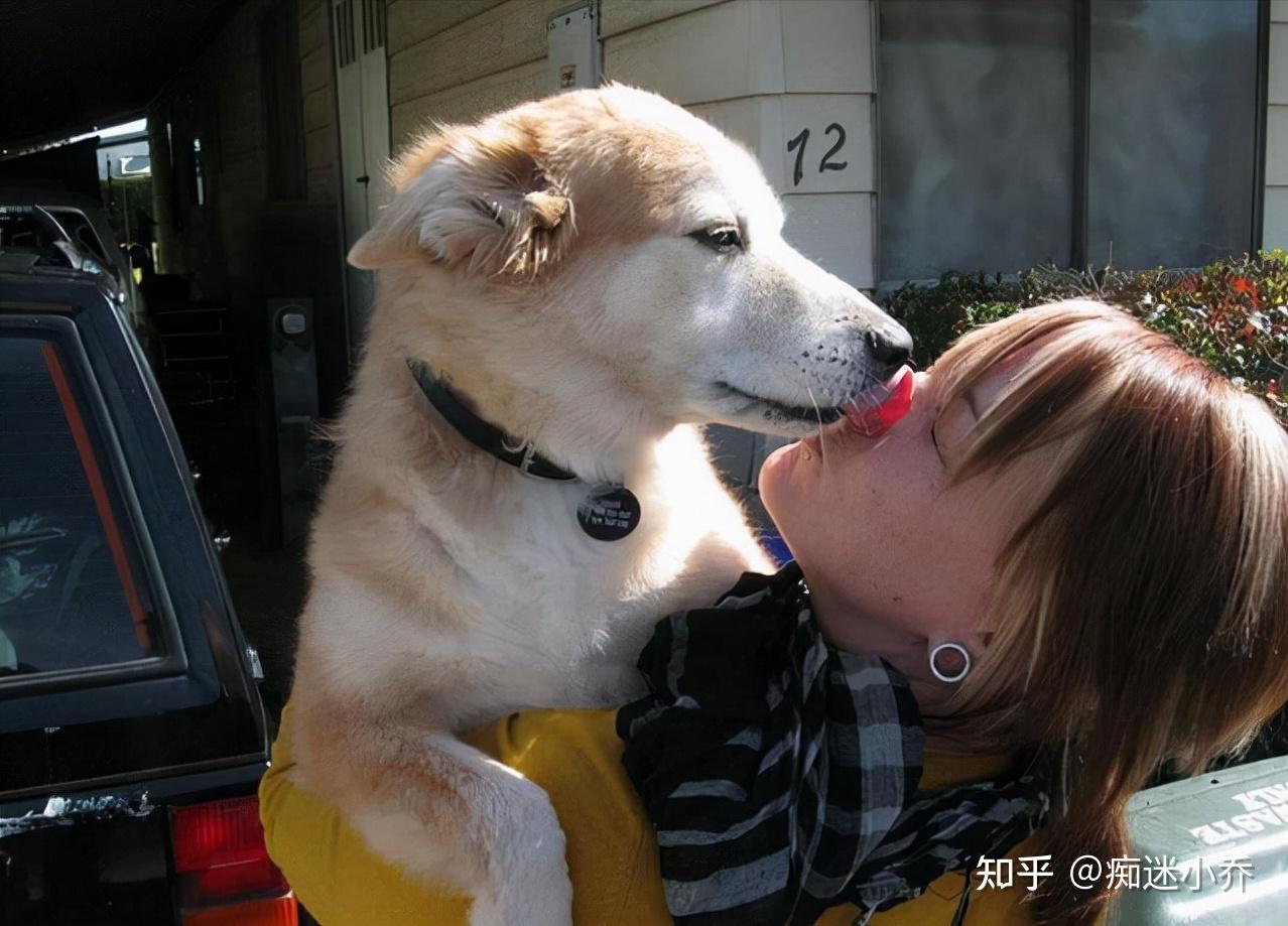 狗狗这5个动作的含义，养狗十年也不一定知道 - 知乎