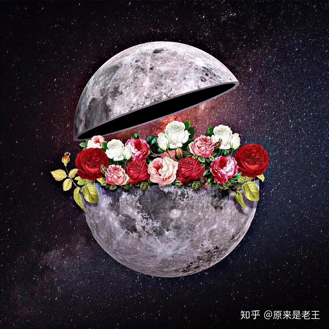 有没有好看的宇航员微信头像? - 知乎