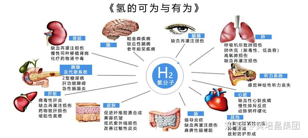 氢分子与人体内万恶之源的自由基