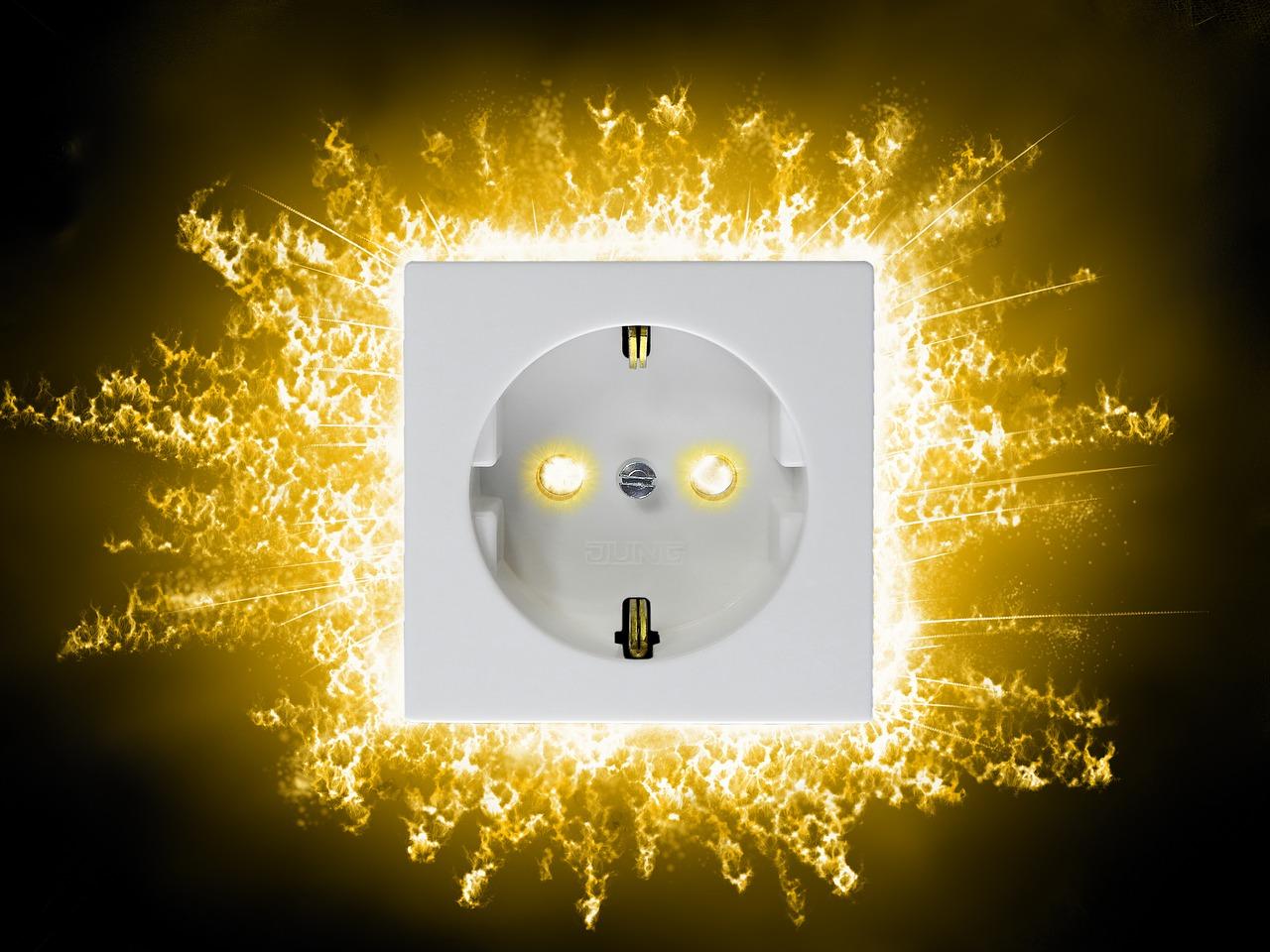 绿化景观特色亮点