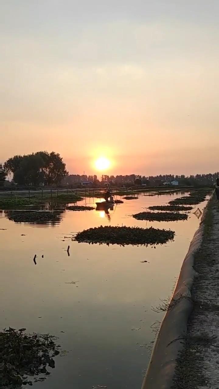 南京高淳旅行攻略有吗？ - 知乎