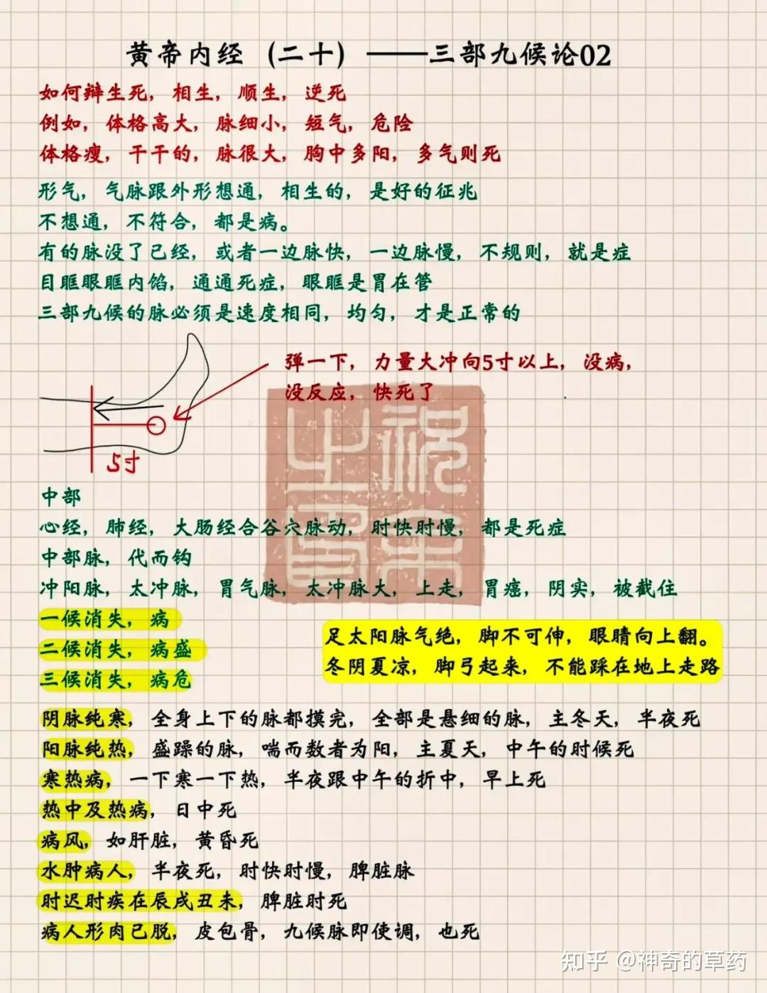 《黄帝内经彩色图文笔记》全集（建议收藏） - 知乎