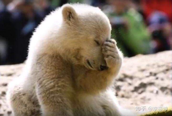 一个23岁的年轻人,手上有2万有什么好的理财建