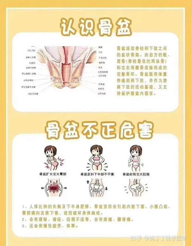 带你深入认识徒手产后修复技术详解徒手盆骨修复原理