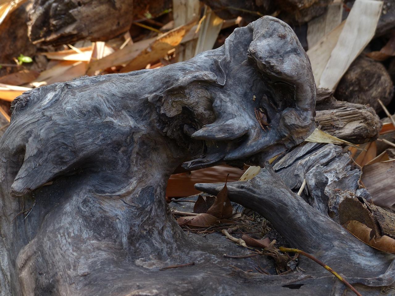 4. 水分管理调整