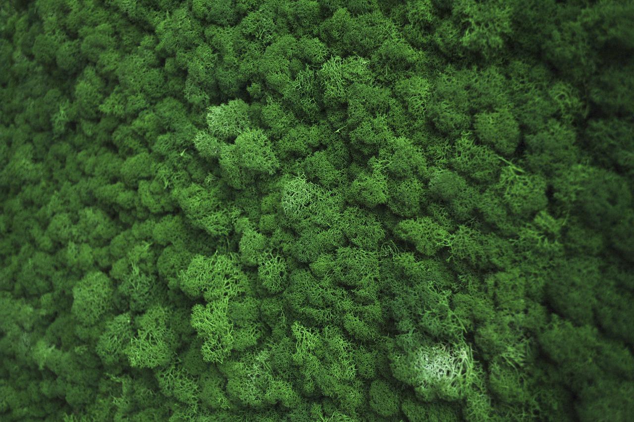 4. 家居装饰应用