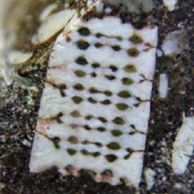 有哪些长期被当做灵异事件，最终被科学解释的现象？