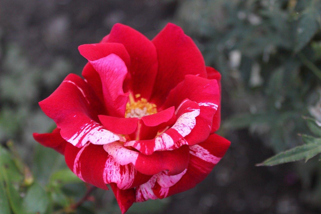 4. 切口处理要点