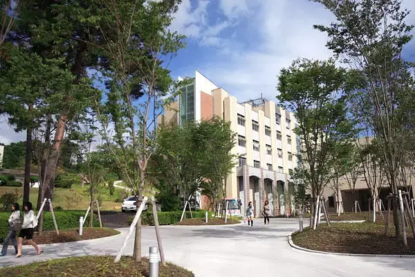 日本哪所大学最名媛