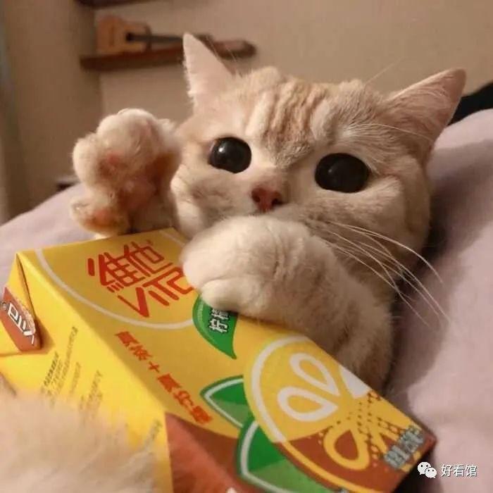 高逼格的头像分享|头像霸气冷酷伤感|霸气伤感的黑白头像最冷酷(头像伤感女黑白)