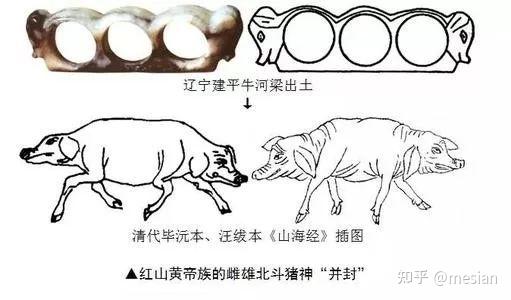 揭秘有图有真相猪形玉握的真正含义是