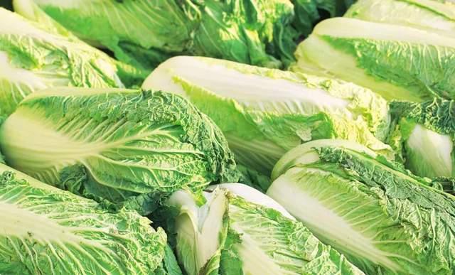 大白菜保存 直接放地上是大错 教你一个土方法 放一个月更新鲜 知乎