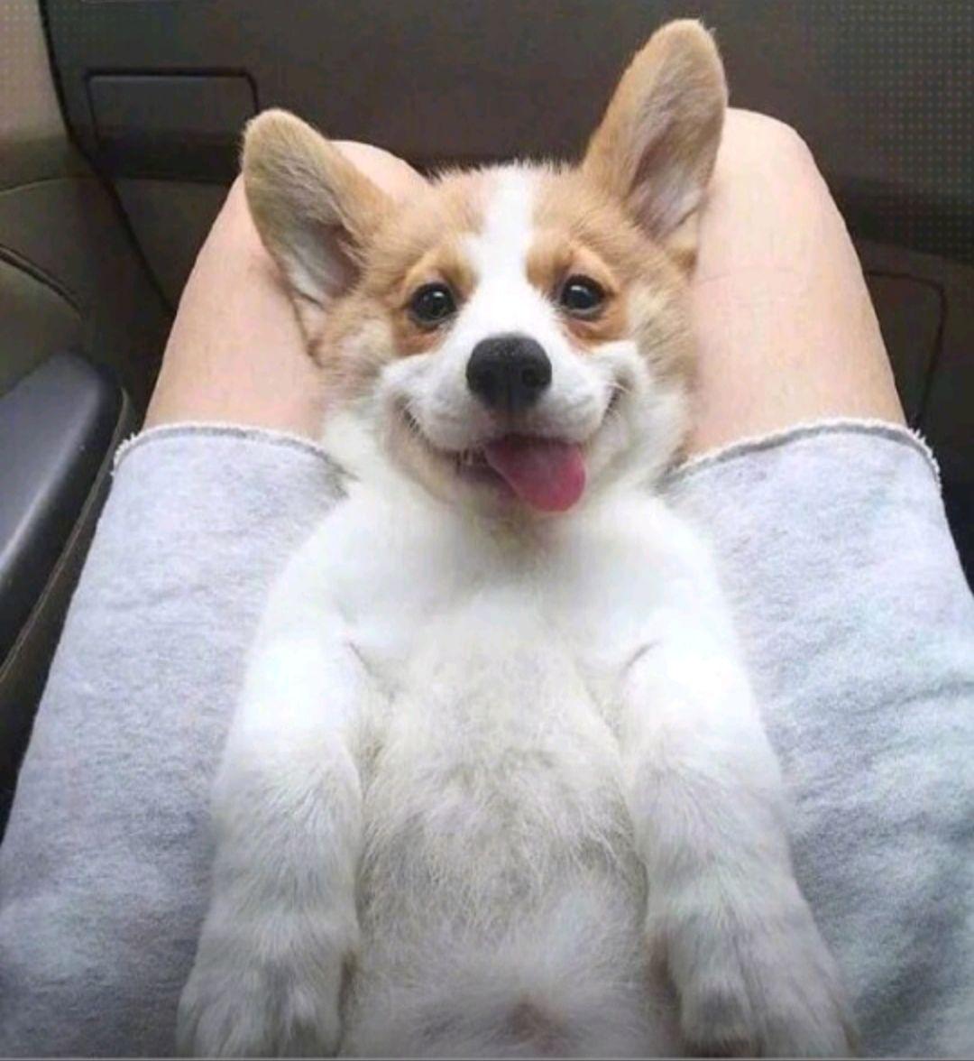 你用过哪些有趣或有意义的微信朋友圈背景图