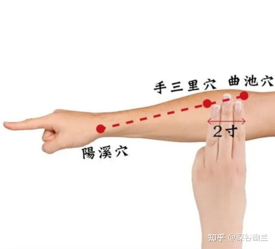 手肘、前臂外侧疼痛居家调理 - 知乎