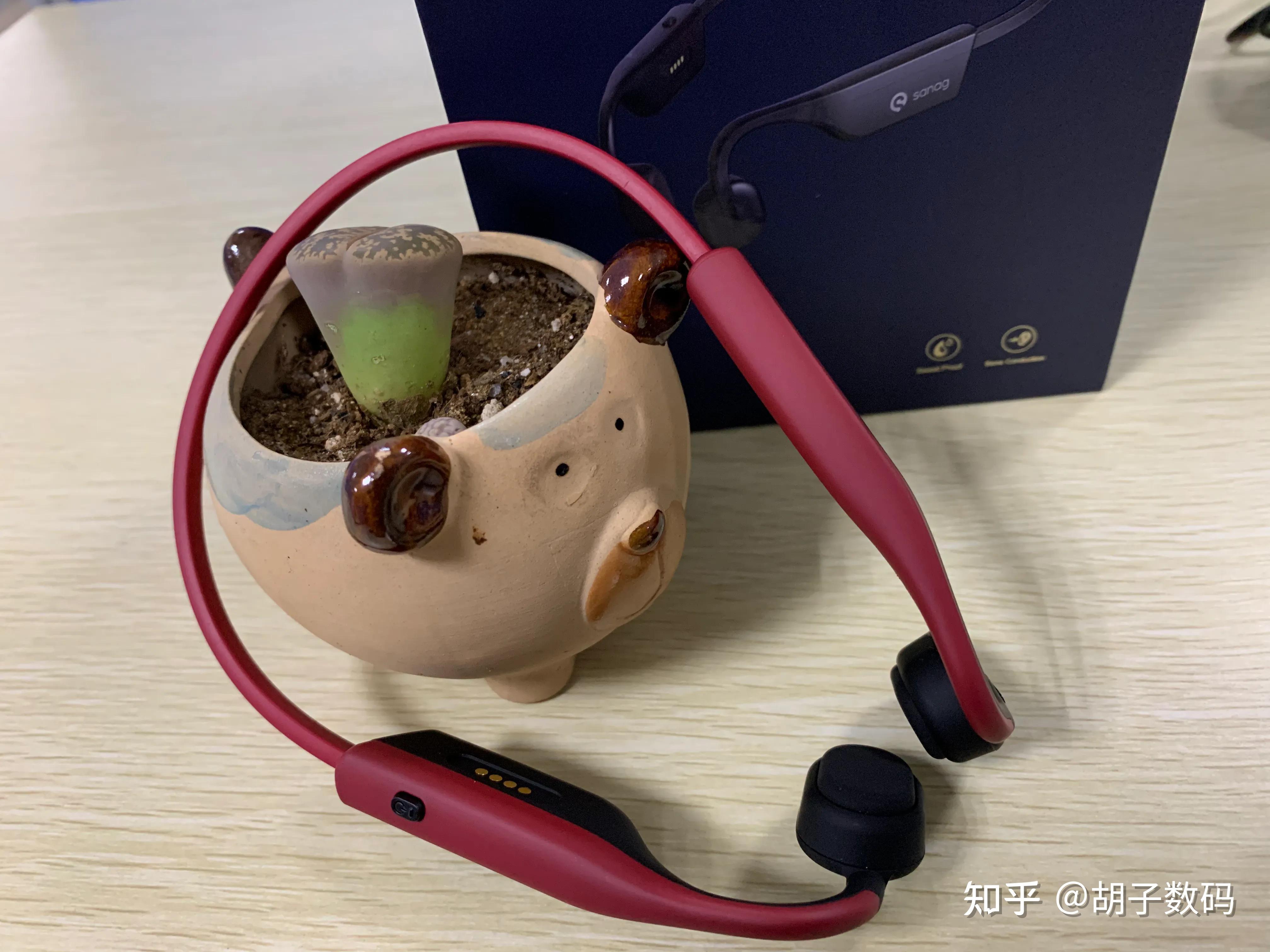 解放双耳我们的音乐好伙伴——sanag塞那a9s骨传导运动耳机