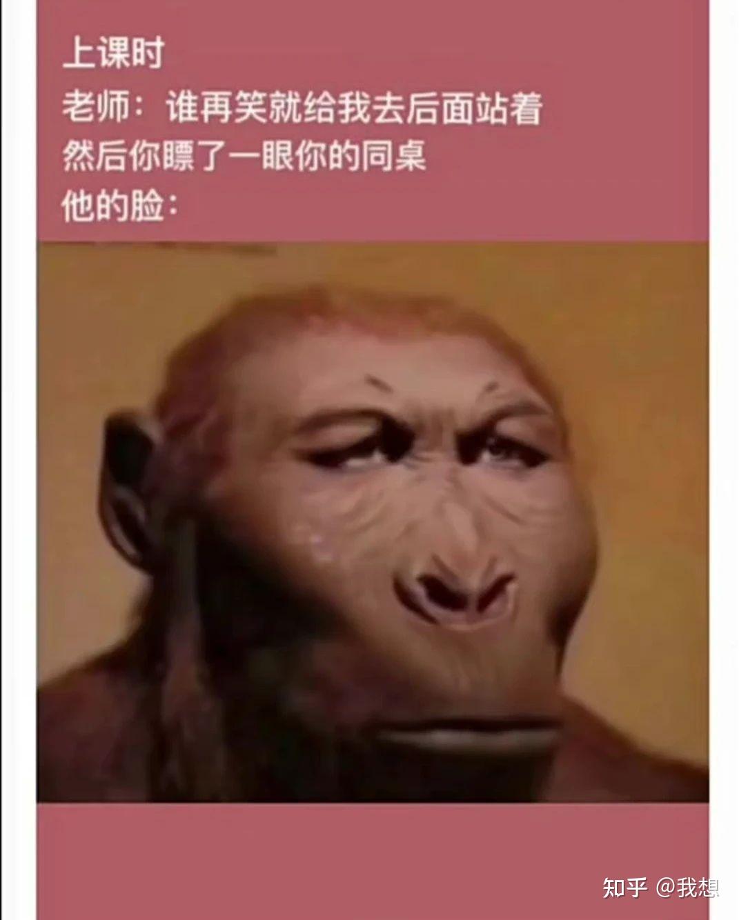 上课和同桌笑到不行怎么办?