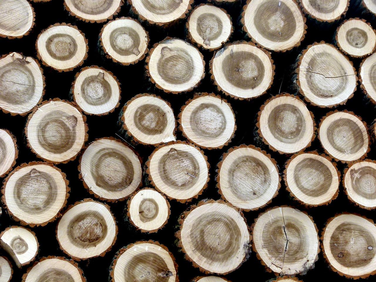 柚木多少年成材