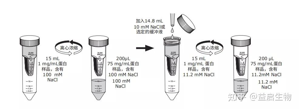 肾小囊超滤液图片