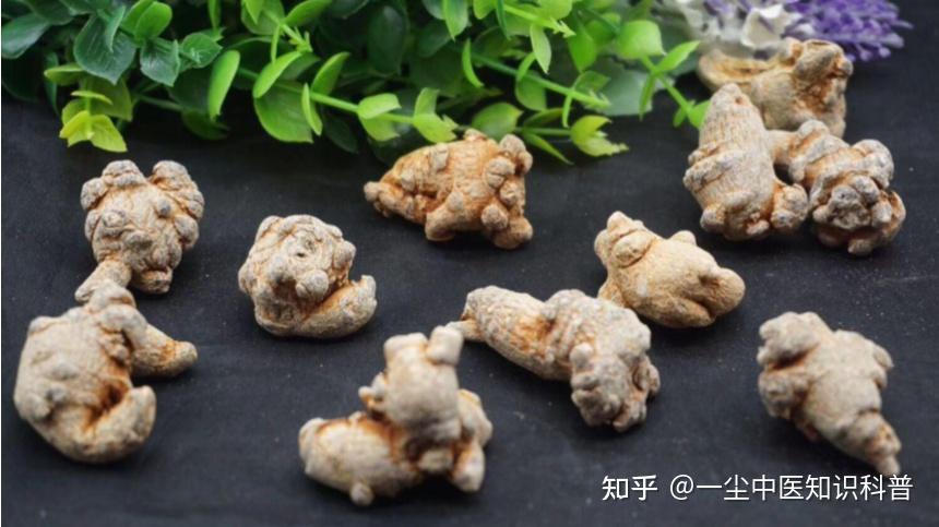 中草药田七的功效 - 知乎