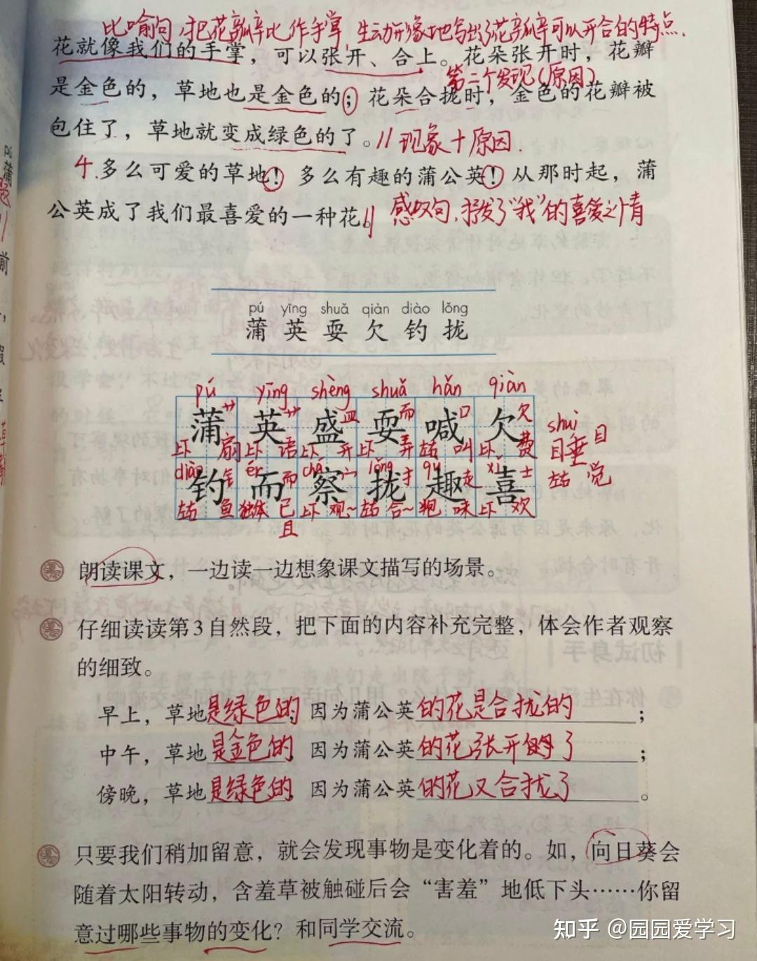 学霸笔记语文三年级第五单元课堂笔记