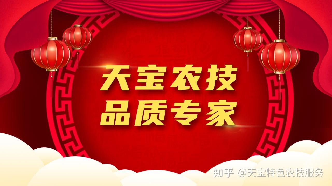 67天宝农技:67西瓜枯萎病蔓枯病,霜霉病实用配方!