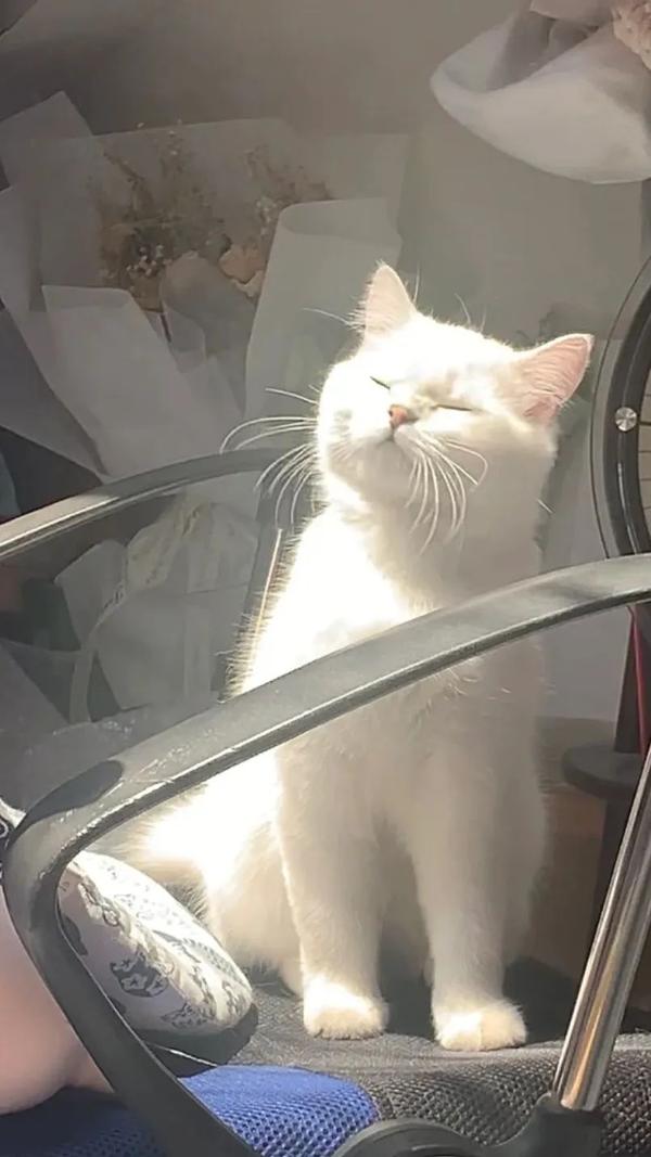 来一组高清无水印的ins风格壁纸 - 知乎