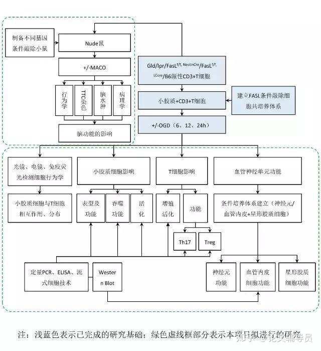 本科硕士毕业论文技术路线图画法及注意事项 - 知乎