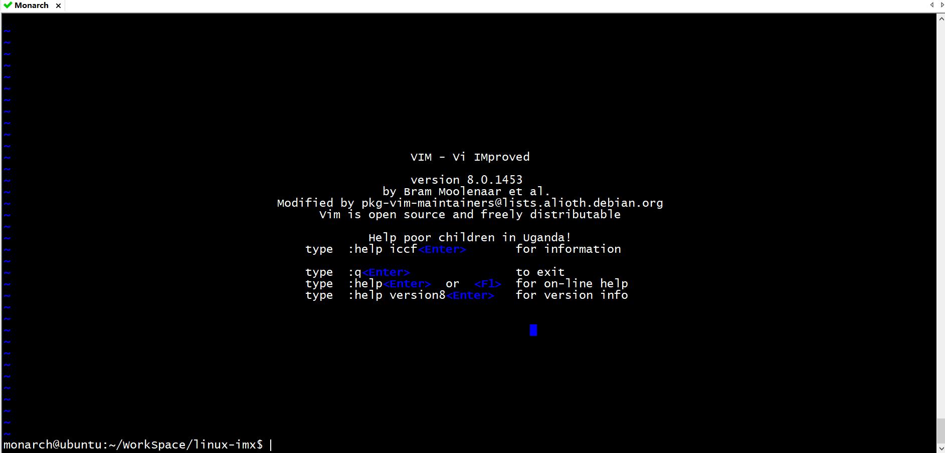  vim 