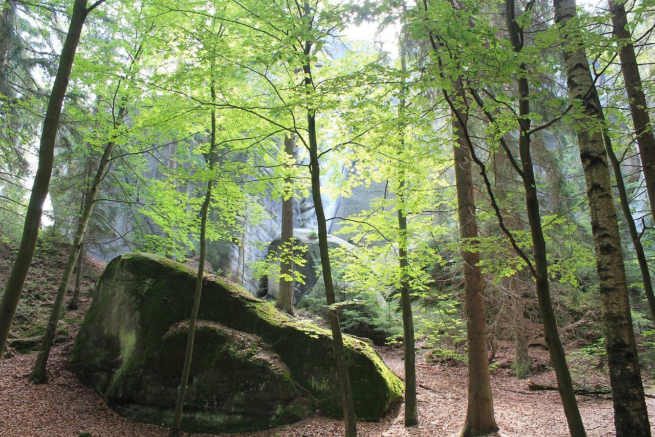 4. 周边配套盘点