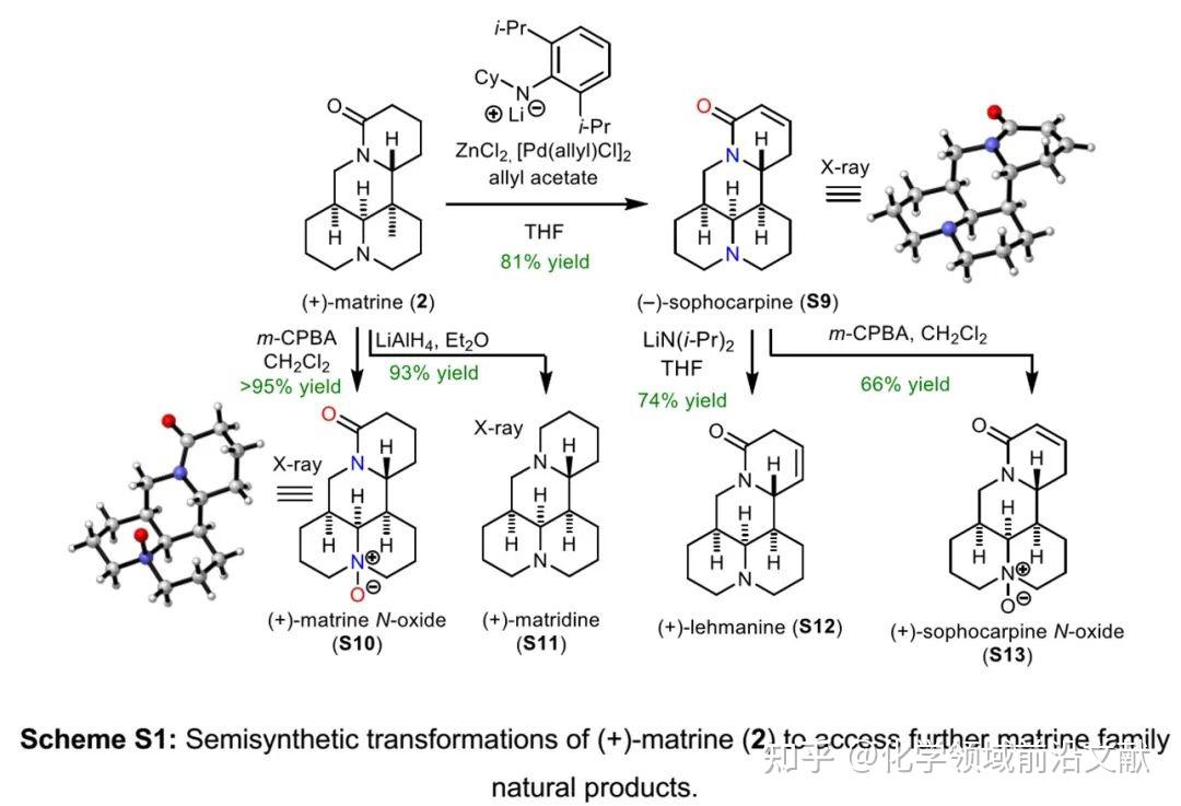 JACS:两次HDA反应实现多个苦参碱的高效全合成 - 知乎