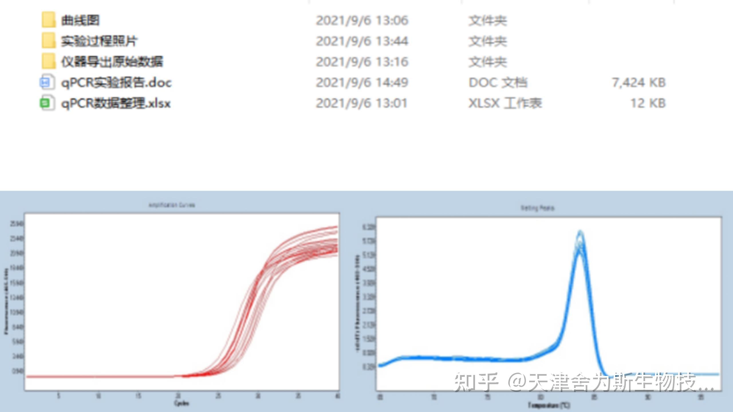干货分享|全血样本RT-PCR实验技巧、注意事项及内参基因选择 - 知乎