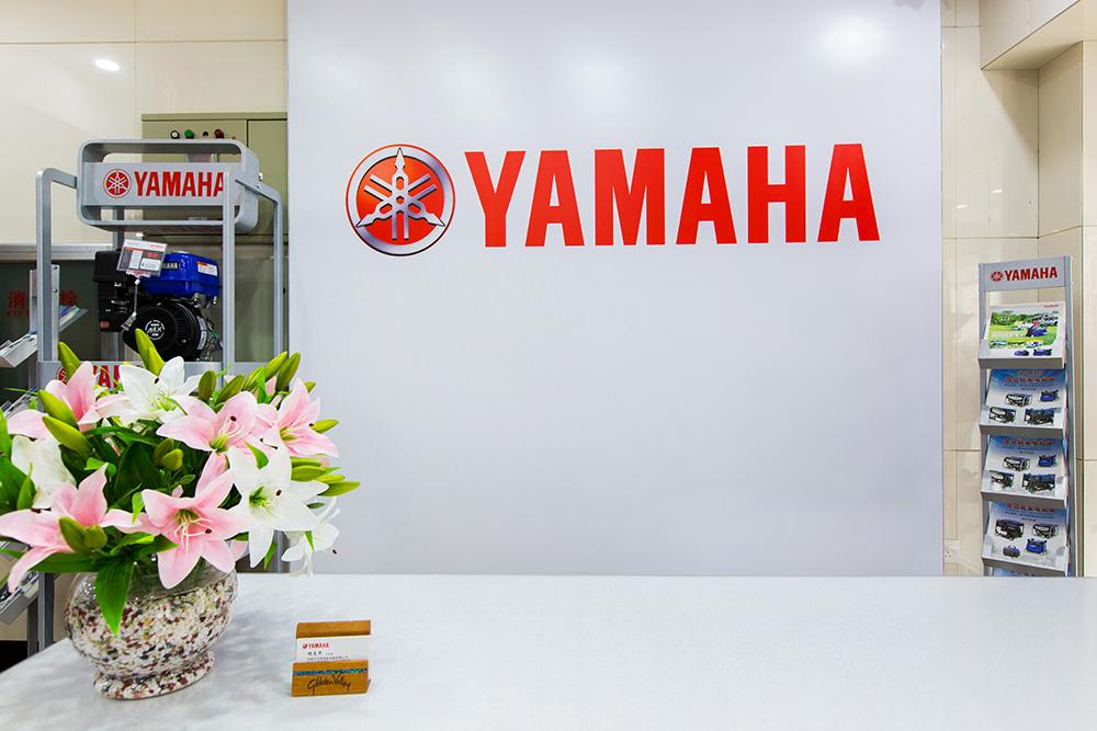 上海友华雅马哈发电机服务中心由上海友华动力机械有限公司创建,地址