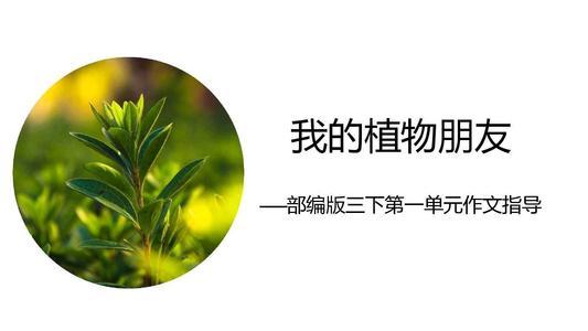 11 人 贊同了該文章 師小結:看完記錄卡,我們知道了油菜花根,莖,葉