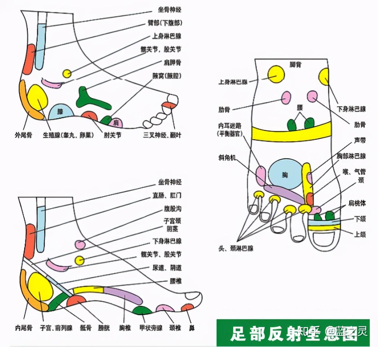 通經絡強體魄1招輕鬆調五臟