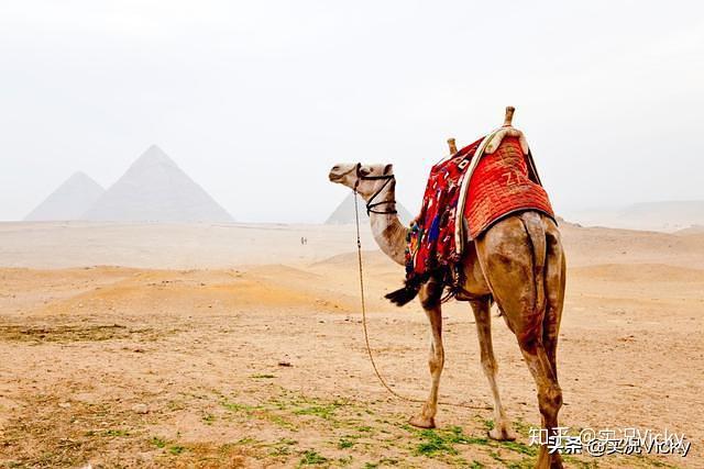 旅游Vicky_2019埃及旅游攻略:埃及11大必去旅