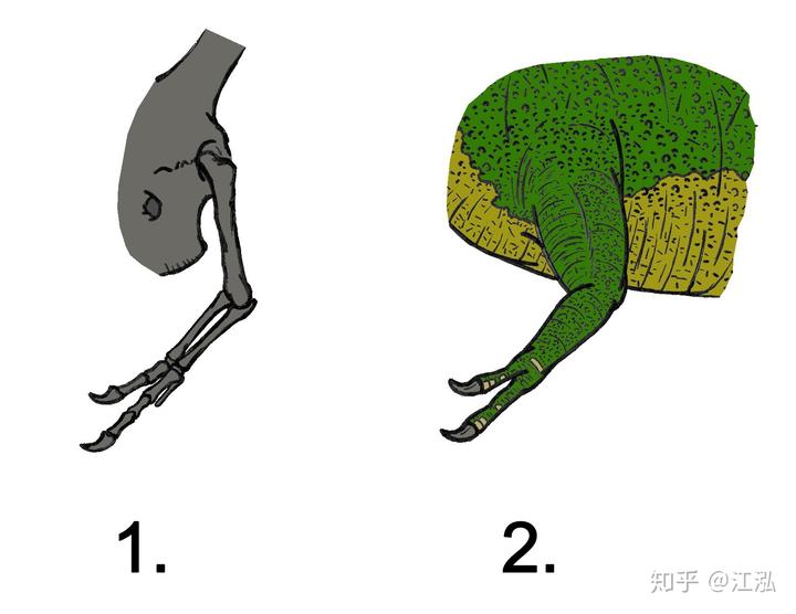 真正的霸王龙长什么样子? 10 v2 574b4c797272257787b4fd3e5136d697 720w