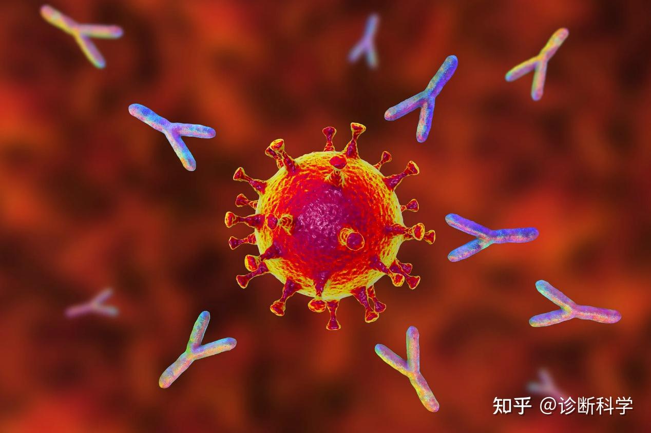 技术 免疫测定试剂的常见问题和解决方案 知乎