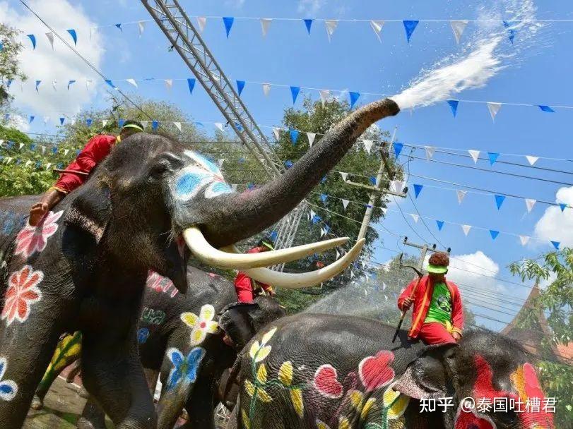 还可以前往奈迪大象保护营体验当一日大象饲养员,穿上泰国传统民族