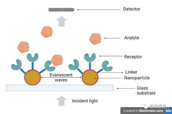 经典SPR技术：生物传感检测的最佳选择 - 知乎