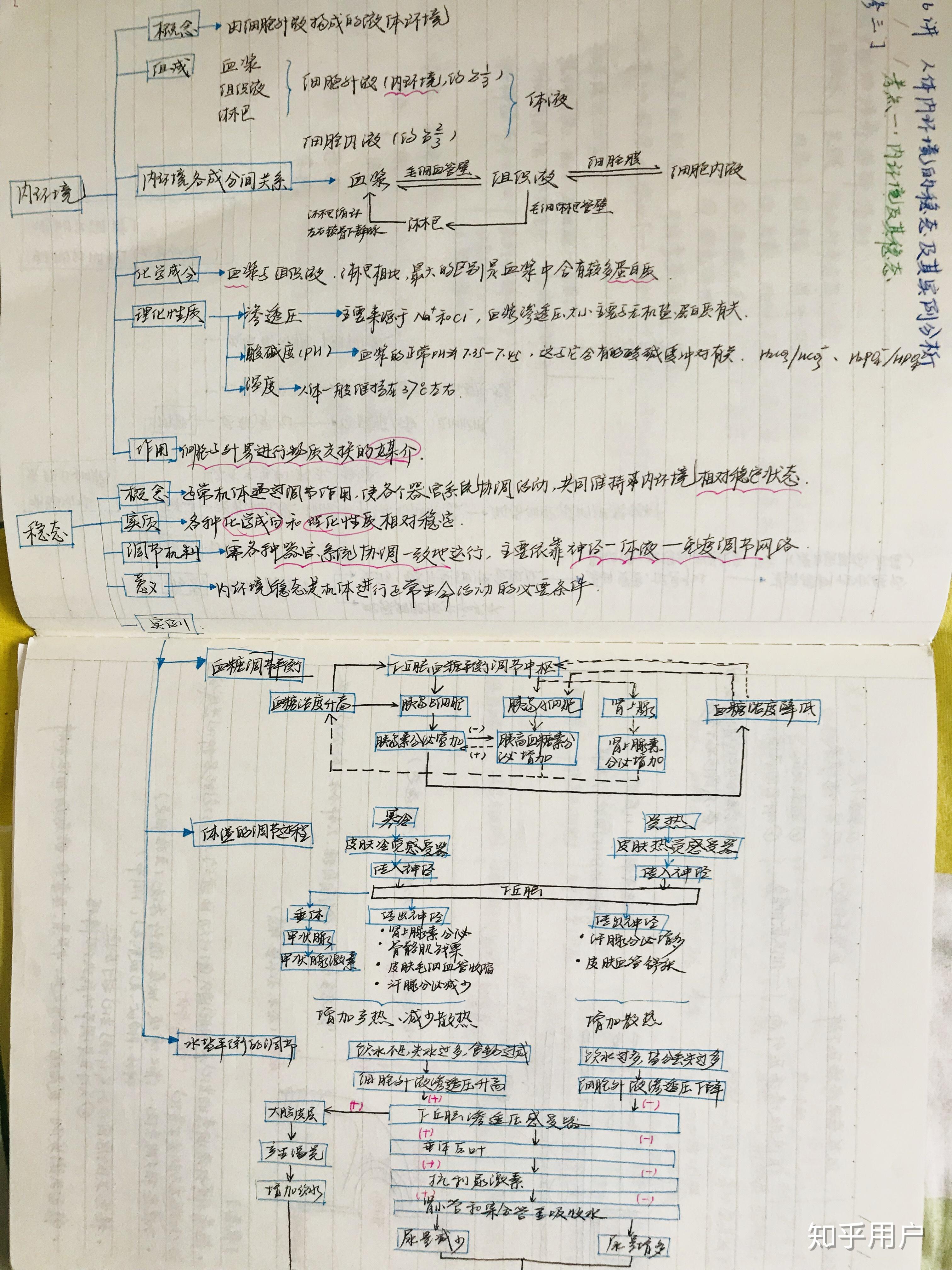 高中数理化生哪一个可以做思维导图,怎么做,怎样用?