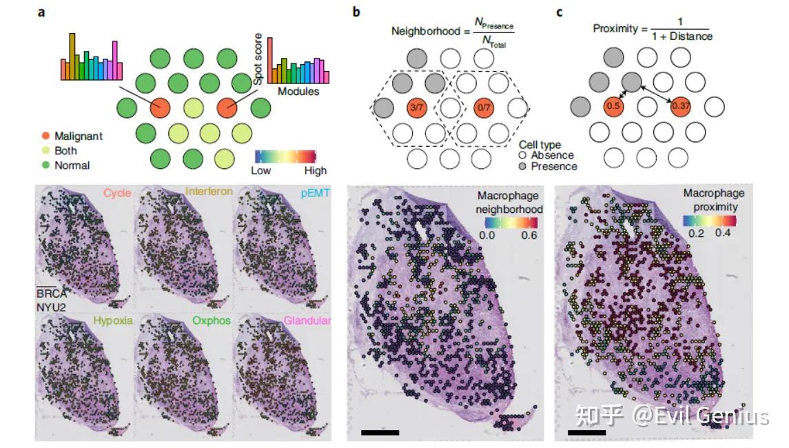 空间转录组基础分析之整合篇 - 知乎